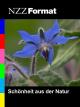 NZZ Format - Schönheit aus der Natur