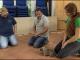 Fall "Flint" und Welpentest im Tierheim