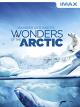 IMAX: Wonders of the Arctic [dt./OV]