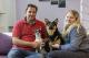 Schäferhundmischling "Greta" und Straßenhund "Hector"