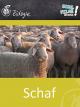 Schaf - Schulfilm Biologie