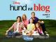Disney hund mit blogStaffel 3Volume 1