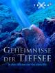 Geheimnisse der TiefseeIn den Höhlen der Korallenriffe