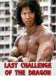 Last Challenge Of The Dragon [OV]