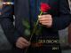 Der Bachelor (Staffel 2017)