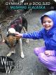 Gymnast on a Dog Sled - Mushing in Alaska [OV]