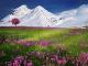 Introduction To Self HypnosisAuto-Suggestion And Meditation In Goal Setting and Achievement
