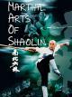 Martial Arts of Shaolin [OV]