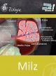 Milz - Schulfilm Biologie