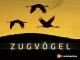 Zugvögel