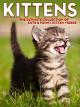 Kittens: The Ultimate Collection of Cute & Funny Kitten Videos