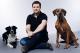 Die Highlights aus "Der Hundeprofi"