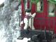 Magical Christmas Trains
