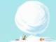 Verfolgt von einem Schneeball