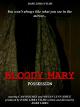 Bloody Mary Possession [OV]