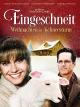 Eingeschneit - Weihnachten im Schneesturm