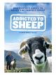 Addicted to Sheep [OV]