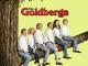 Die Goldbergs - Staffel 2 [dt./OV]
