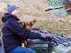 Cow Dog Puppy's First Day Moving Cattle