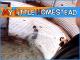 Underground Earth Bag Building - Soil Cement Subfloor in Basement