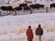 Farm & Ranch Preservation