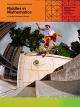 Riddles in Mathematics - Transworld Skate