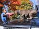 Hulk's Son Kobe Is The Pit Bull Of The Future