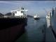 Mighty Servant: Heavy Carrier