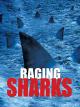 Raging Sharks - Killer aus der Tiefe