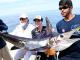 Cabo Marlin Mayhem
