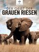 Der Geist der Grauen Riesen