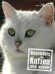 Besonders die Katzen sind schuld