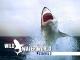 Wild Water WorldStaffel 2