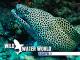 Wild Water WorldStaffel 1
