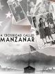A Crossroad Called Manzanar [OV]