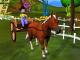 I've Got a Horse