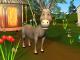 DonkeyDonkey