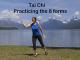 Tai Chi Practicing the 8 forms