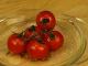 Clip: Bruschetta with Tomatoes & Ricotta