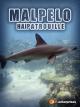 Malpelo Hai-Patrouille