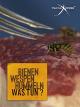 BienenWespenHummeln - Was tun?