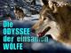 Die Odyssee der einsamen Wölfe