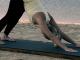 Ardha Uttanasana to Adho Mukha Shvanasana Sequence