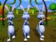 Hello Rabbits