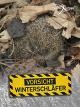 VorsichtWinterschläfer