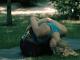Padmasana to Sahaja Purvottanasana Sequence