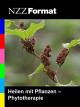 NZZ Format - Heilen mit Pflanzen: Phytotherapie
