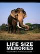 Life Size Memories: Elephants in True Colour