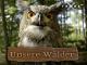 Unsere Wälder