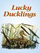 Lucky Ducklings